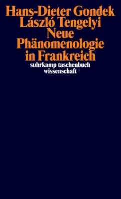 Cover Neue Phänomenologie in Frankreich
