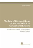 The Role of Neck and Hinge for the Mechanism of Conventional Kinesins