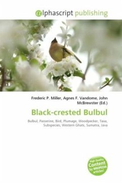 Black-crested Bulbul