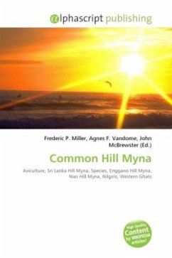 Common Hill Myna