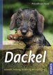Dackel - Bild 1