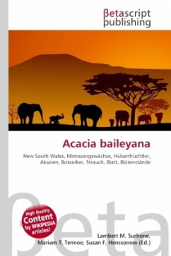 Acacia baileyana Cover Acacia baileyana