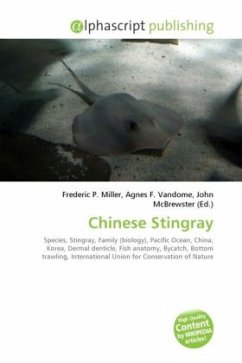 Chinese Stingray