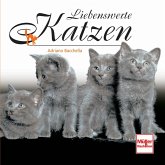 Liebenswerte Katzen Liebenswerte Katzen