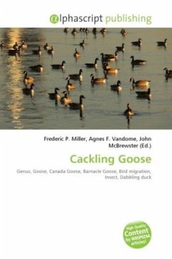 Cackling Goose