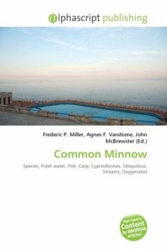 Common Minnow