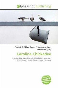 Carolina Chickadee