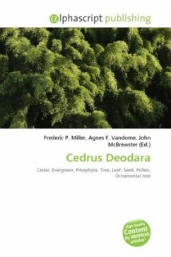 Cover Cedrus Deodara