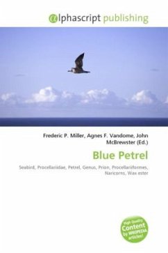 Blue Petrel