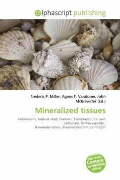 Mineralized tissues
