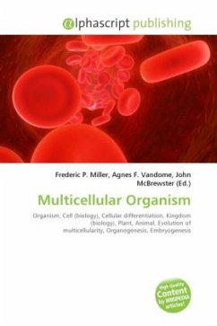 Multicellular Organism