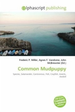 Common Mudpuppy
