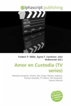 Amor en Custodia (TV series)