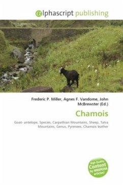 Chamois