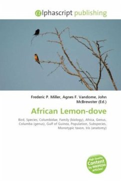 African Lemon-dove