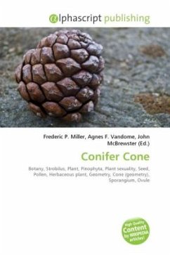 Cover Conifer Cone