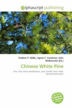 Chinese White Pine