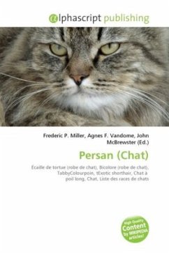 Persan (Chat)