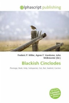 Blackish Cinclodes