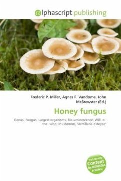 Honey fungus