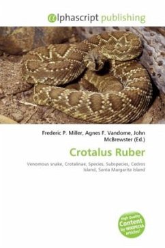 Crotalus Ruber