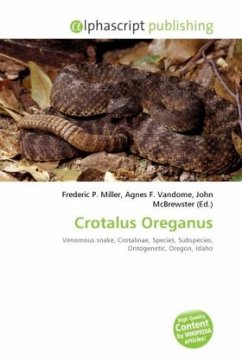 Crotalus Oreganus