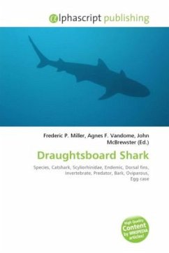 Draughtsboard Shark