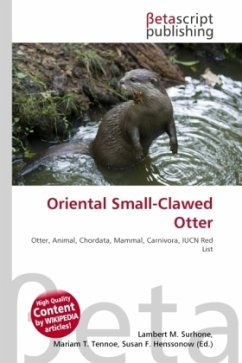 Oriental Small-Clawed Otter