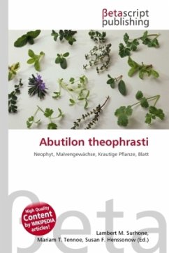 Abutilon theophrasti