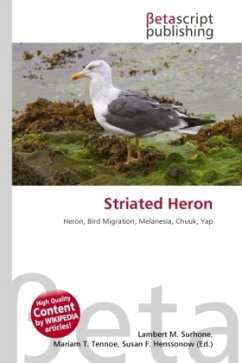 Striated Heron