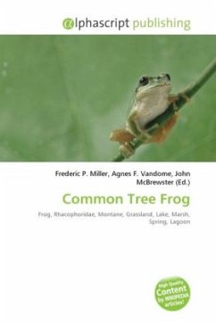 Common Tree Frog