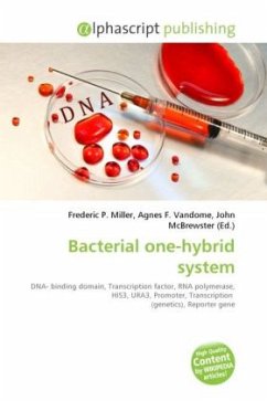 Bacterial one-hybrid system