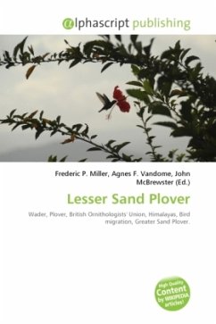 Lesser Sand Plover