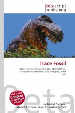 Trace Fossil