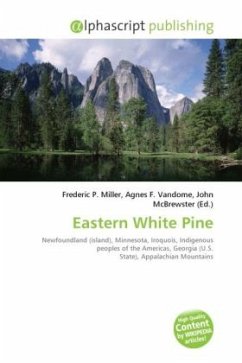 Eastern White Pine