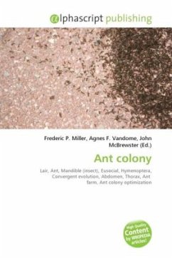 Ant colony