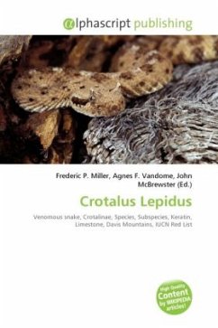 Crotalus Lepidus