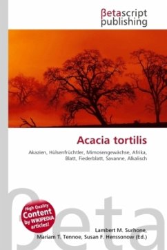 Acacia tortilis