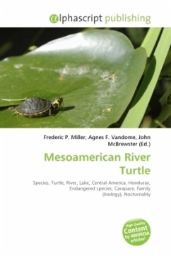 Mesoamerican River Turtle