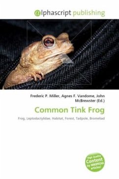 Common Tink Frog