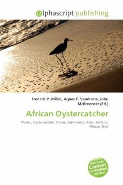 African Oystercatcher