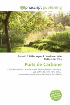 Puits de Carbone