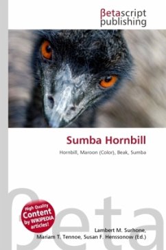 Sumba Hornbill
