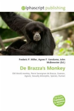 De Brazza's Monkey