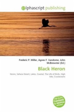 Black Heron