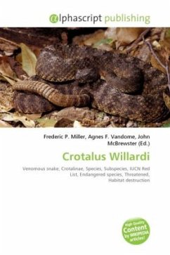 Crotalus Willardi