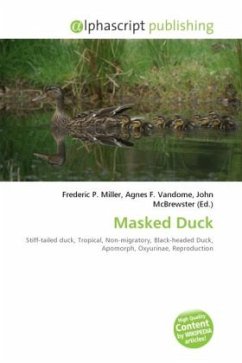 Masked Duck