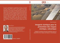 Imagerie sismique pour la prévention des risques sismique, volcanique - Brenguier, Florent