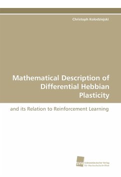 Mathematical Description of Differential Hebbian Plasticity - Kolodziejski, Christoph