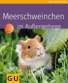 Meerschweinchen im Außengehege Meerschweinchen im Außengehege